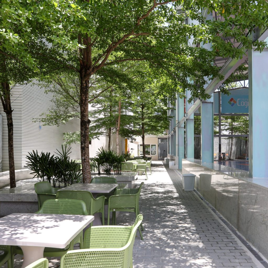 CognitivoBVMarcoMorganaNunesFotos-4 (1)